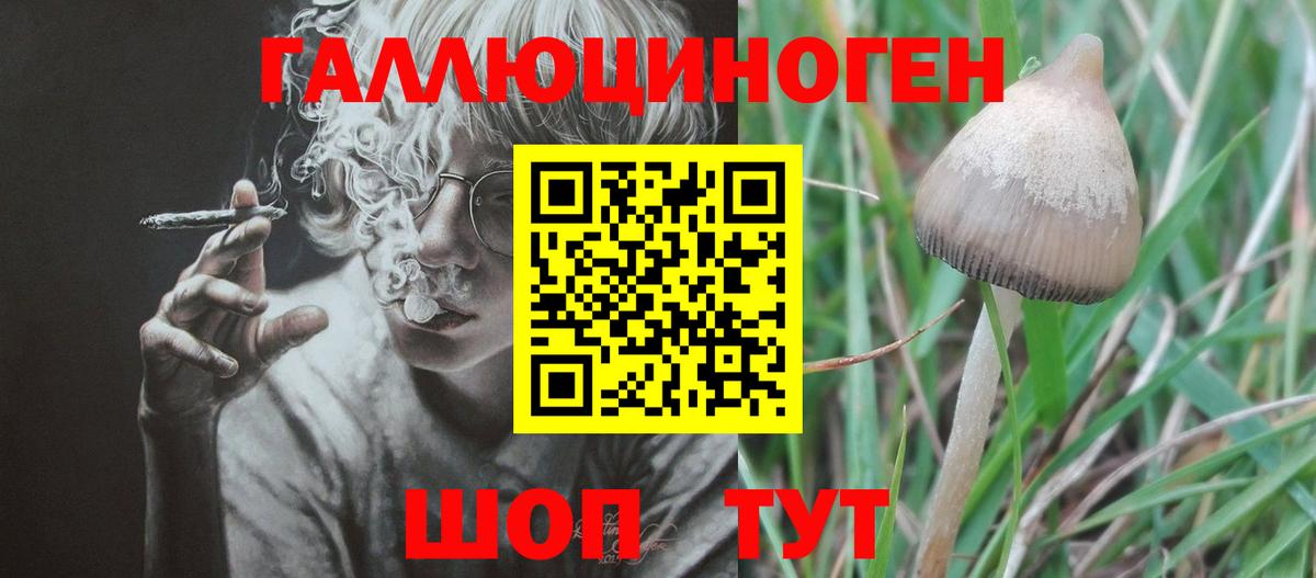 Галлюциногенные грибы GOLDEN TEACHER  Вход с VPN  Мценск 