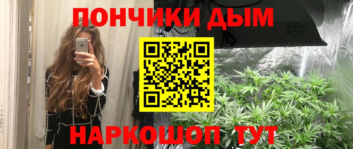 Бошки Шишки гибрид Мценск